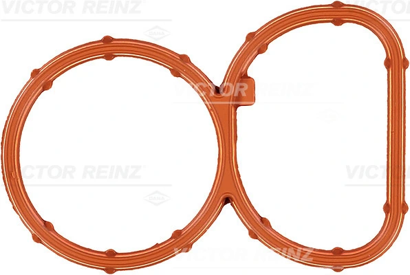 Gasket, intake manifold
